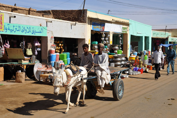 Donkey Cart driving through El Daba