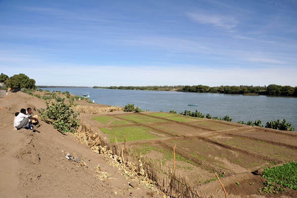 Fields along the Nile, El Daba