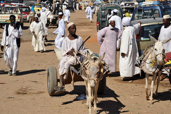Donkey Cart, El Daba