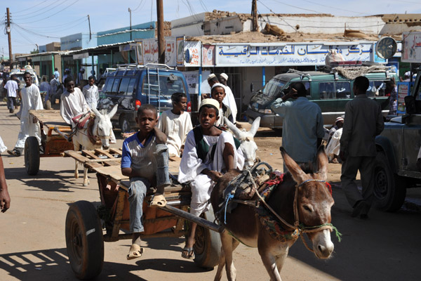 Boys on a donkey cart, El Daba