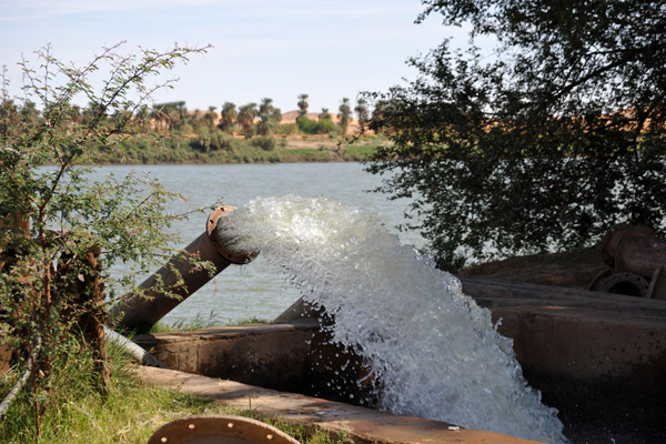 Irrigation using Nile river water