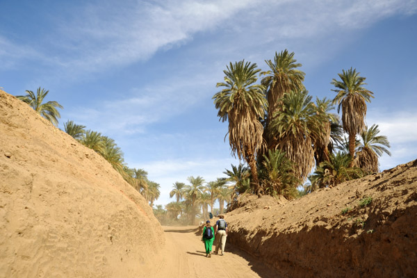 Walking up through the cut in the embankment