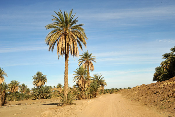 Road to the ruins of Ancient Kerma