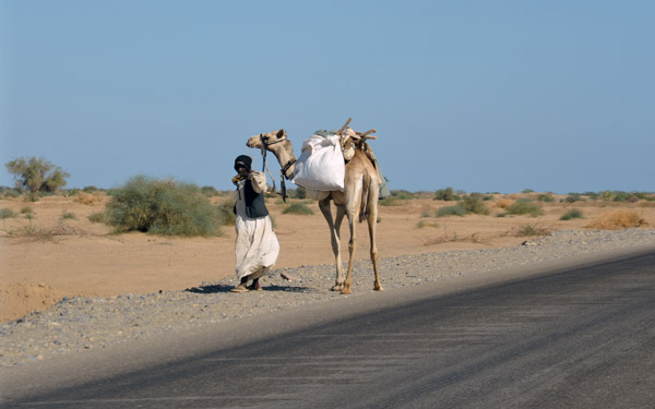 Beja man leading a camel near Port Sudan