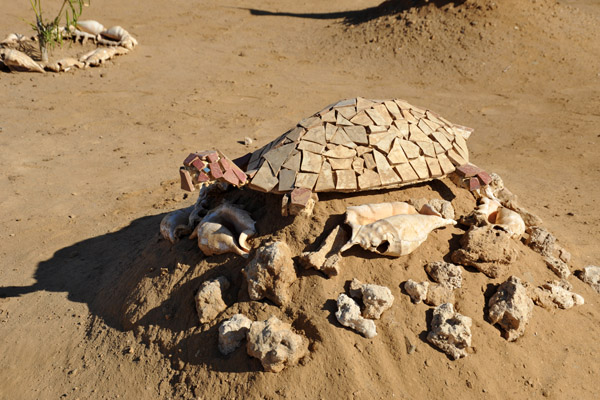 Mosaic turtle, Sudan Red Sea Resort