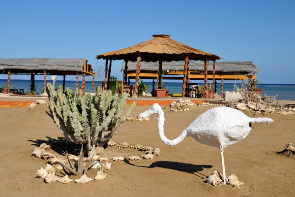 Sudan Red Sea Resort - flamingo