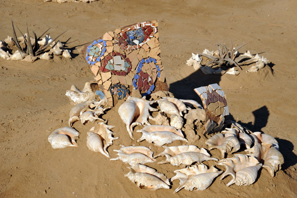 Sudan Red Sea Resort - seashells