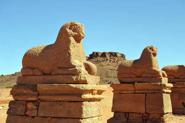 Ram statues lining the entrance to the Temple of Amun, Naqa