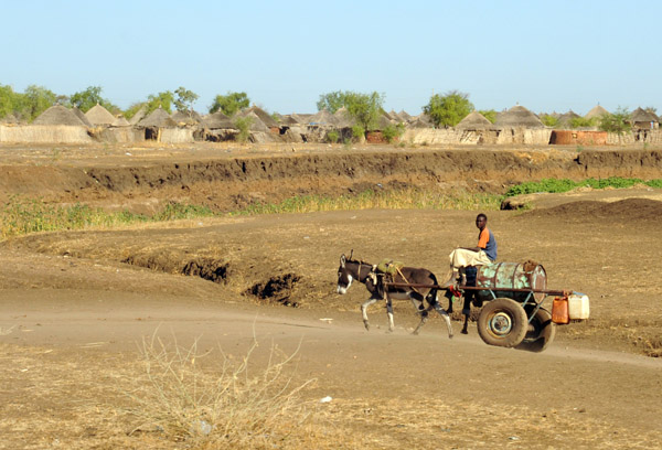 Donkey cart on a dirt road