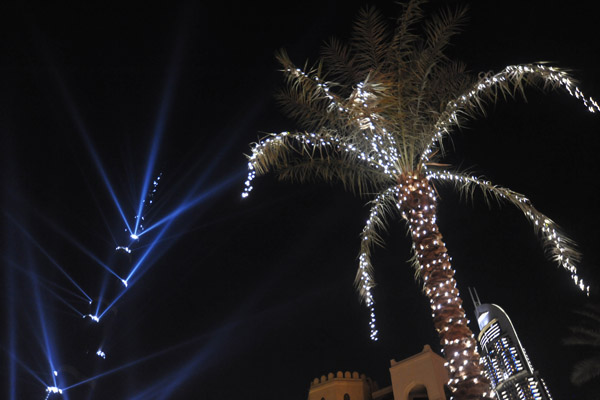 Palm tree on EMAAR Drive, Burj Khalifa Opening Day
