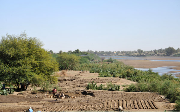 Making mud bricks on the banks of the Atbara River