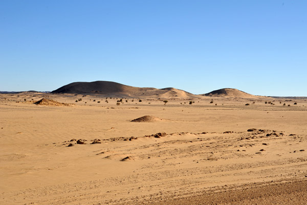 Bayuda Desert