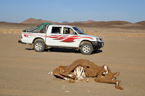 Dead Camel Highway between Sesibi and Soleb