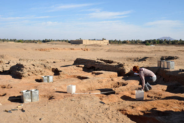 Active archaeological dig, Sedeinga