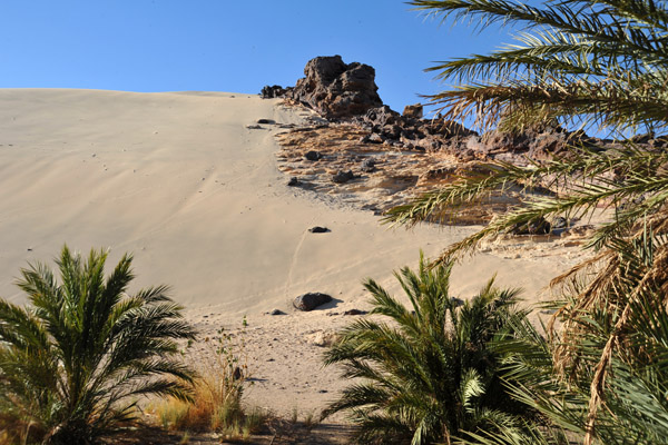 The dune is basically sand blown up against a hillside