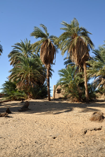 West Bank of the Nile opposite Sai Island