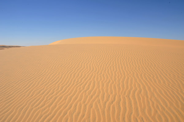 We climbed the big dune on foot