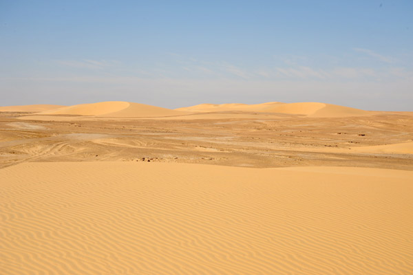 Saharan landscape