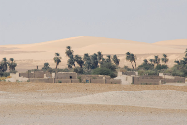 Village on the western shore of Sai Island with palm trees marking the Nile's course and large sand dunes to the west