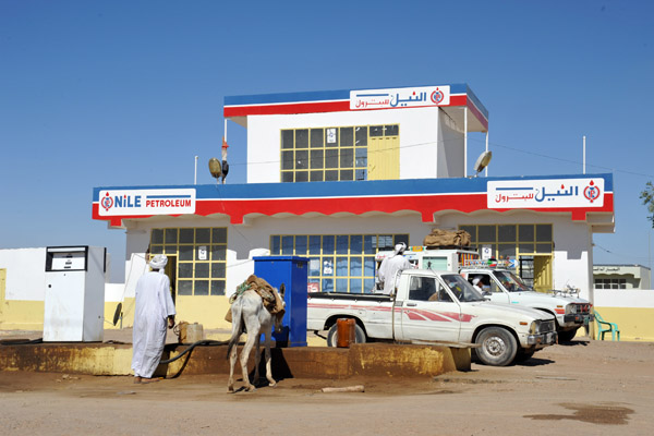 Nile Petroleum, Selem, Northern Sudan