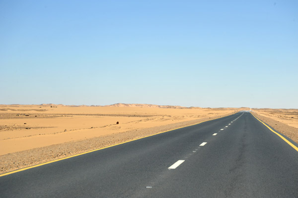 The new road between Dongola and Karima