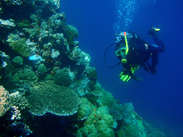 Dive guide from Sudan Red Sea Resort
