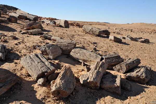 Petrified Forest near El Kurru, Sudan