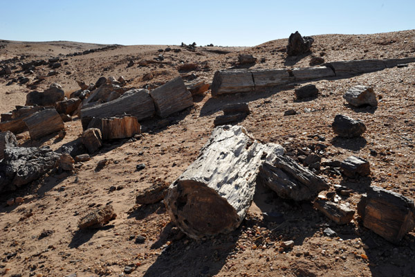 Petrified Forest near El Kurru, Sudan