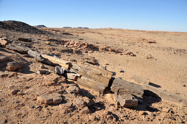 Petrified Forest near El Kurru, Sudan