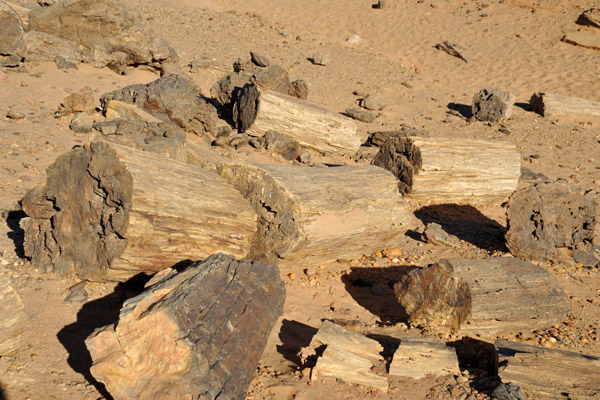 Petrified Forest near El Kurru, Sudan