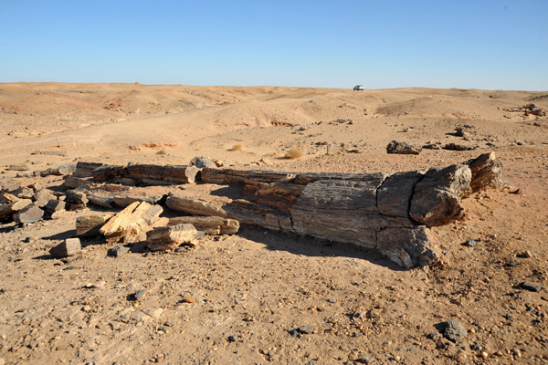 Petrified Forest near El Kurru, Sudan