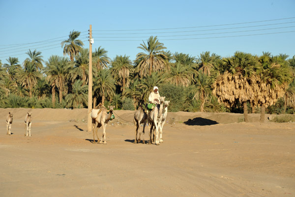 East Bank of the Nile between El Kurru and Karima
