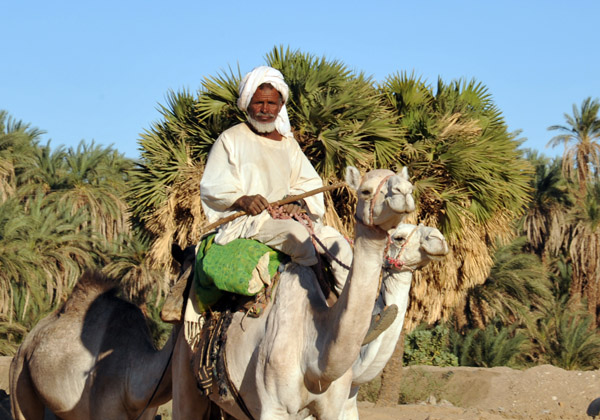 Sudanese man riding a camel between El Kurru and Karima