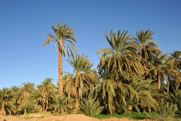 Fertile strip along the East Bank of the Nile between El Kurru and Karima