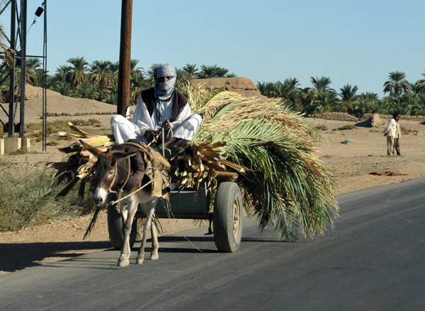 Man driving a donkey cart loaded with palms