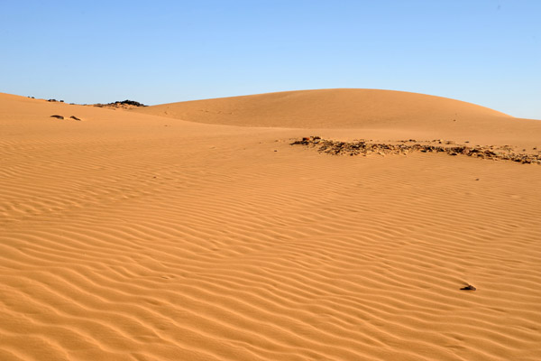 Sandy desert around the Pyramids of Mero