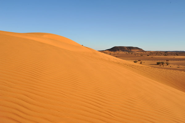 Sand Dune, Mero