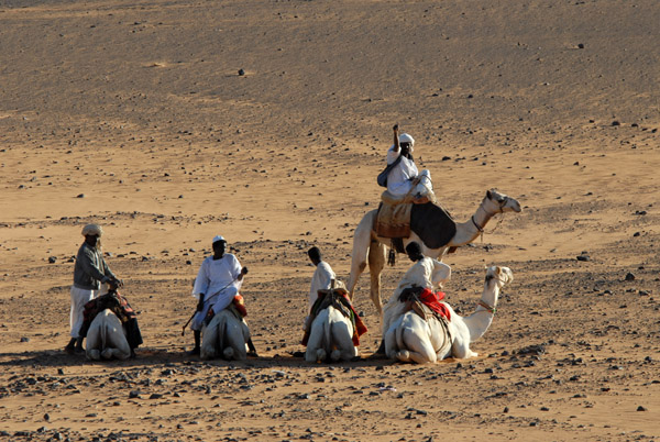 Five camels waiting for us - theyre wasting their time