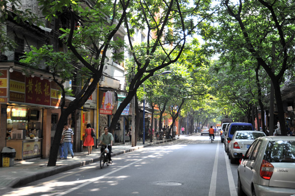 Haizhu Beilu - shady street in Guangzhou