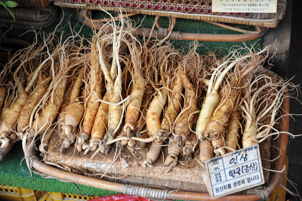 Korean ginseng