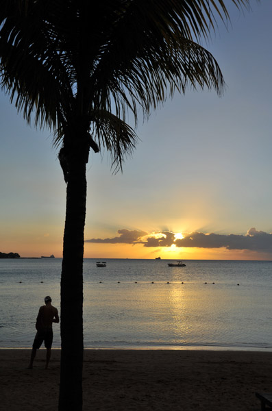 Silhouette of a palm at sunset, Mauritius