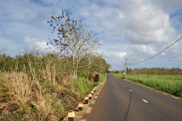 The small road from Balaclava leading to the Port Louis-Grand Baie Road