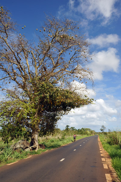 The road to Balaclava