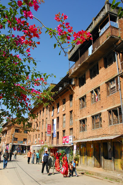 Colorful flowers, Dhulikhel