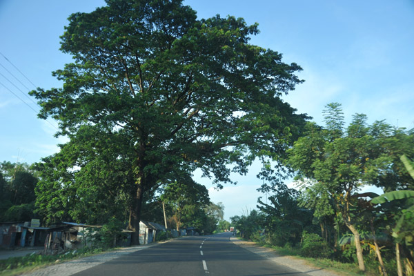 A pothole-less section of National Highway 27, West Bengal