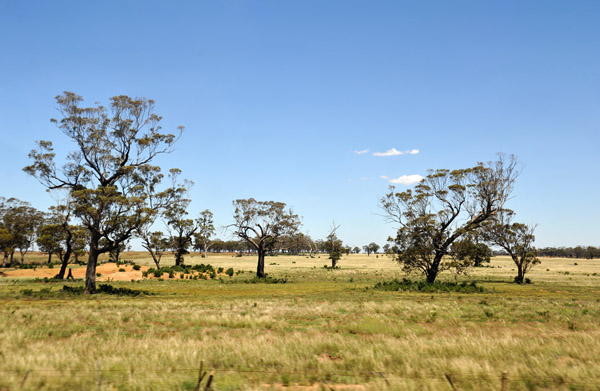 Victoria by Rail