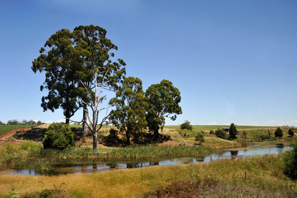 Nearing Ballarat