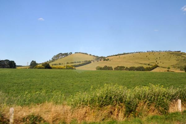 On the train back to Melbourne