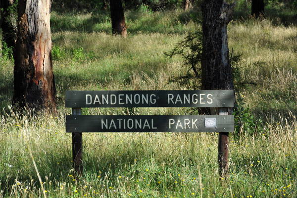 Dandenong Ranges National Park, 38km east of Melbourne