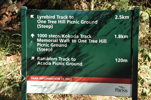 Hikes in the Dandenong Ranges - Lyrebird Track, Kokoda Track, Ramblers Track